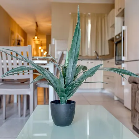 Apartment Spacious, Fully Equipped 4br In Pieta With Wifi & Ac By 360 Estates